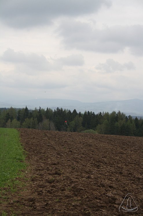 2013 Svojek Mirek Topinka